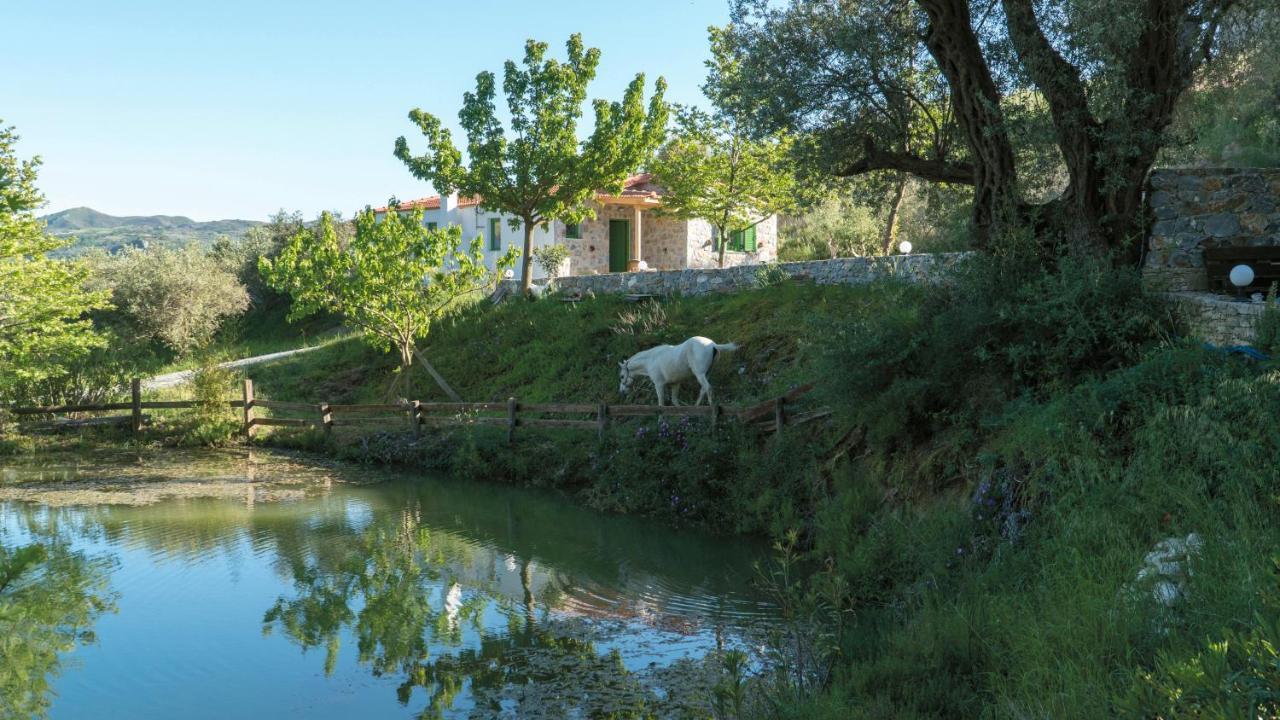 Villa Elia Lambiní エクステリア 写真